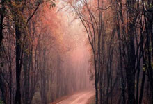 [CBA]常规赛1月19日：浙江VS辽宁 约克集锦.