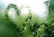 28圈:米卢:希望通过公益方式继续参与中国足球.