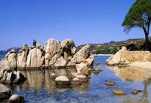 28圈:一句话葬送22年努力,他曾9次登上春晚,46岁人设崩塌惨遭网暴.